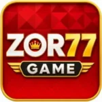 ZOR77 Game