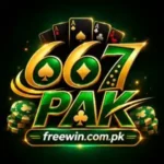 667PAK Game